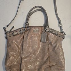 Coach Ashley Metallic Champagne Leather Hobo Bag Style 15393 Shoulder Bag