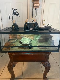 Reptile/Terrarium/Aquarium 35 Gallons front opening tank with set up ( no animals included ) ( have more tanks available) *** Great Condition ***