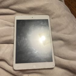 Mini iPad
