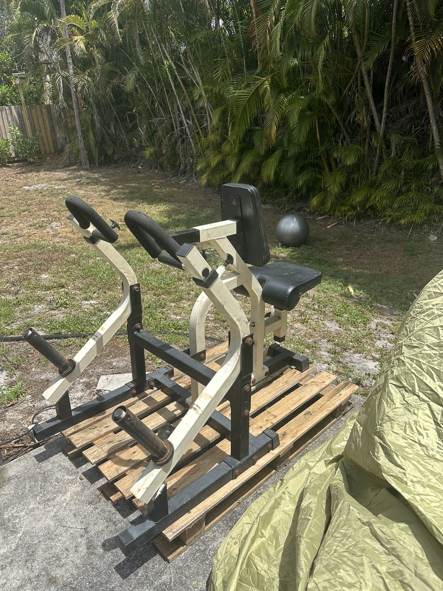Seated Back Row Plate Load Machine