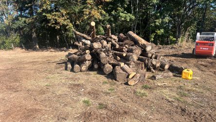 Firewood