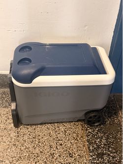 Small  IGLOO cooler