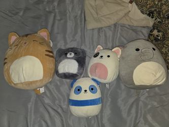 Nathan Tabby Cat, Ashley Apple, Wanda Watermelon Squishmallows