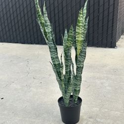 Decorative Faux Snake Plant