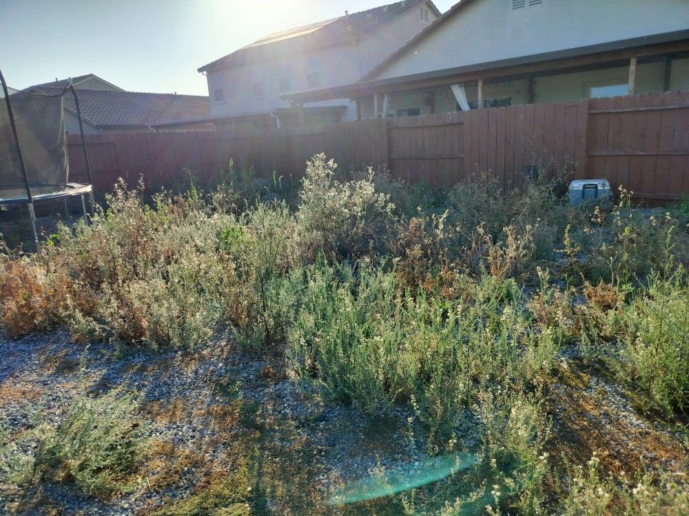 Yard