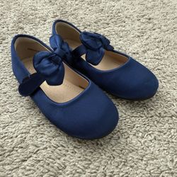 Blue Satin Shoes