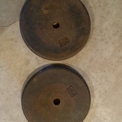 50 Pounds Solid Iron Weights