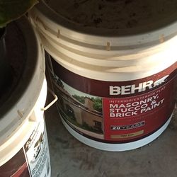 BelEHR PAINT 100$