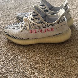 Yeezy Zebra