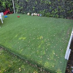 Free - 200 Sq Ft Artificial Turf