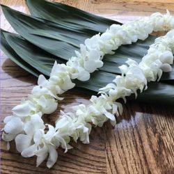 Graduation Leis