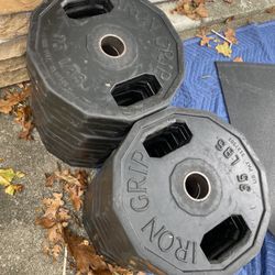 Iron Grip 35 Lb Rubber Wrapped Steel Olympic Plates