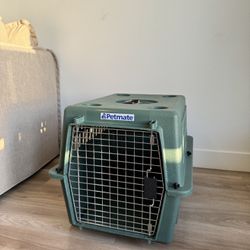 Dog & Cat Kennel