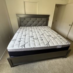Queen Size Mattress Pillow Top New