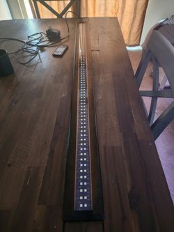 Current Usa Freshwater Plus 48"