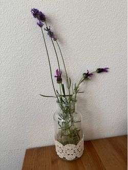 Ashland French Chateau Bottle