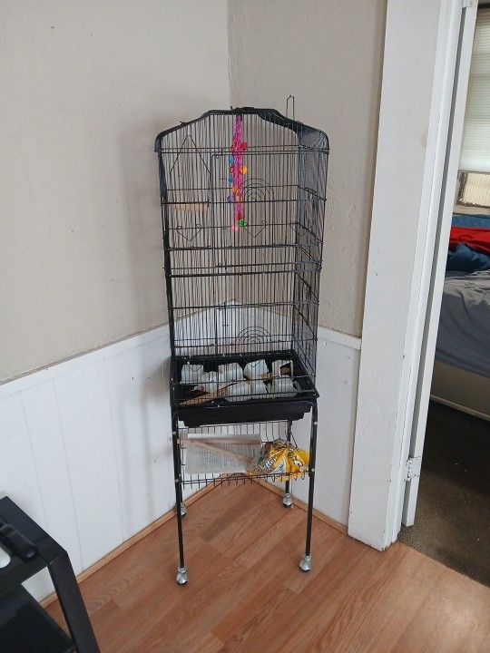Bird Cage