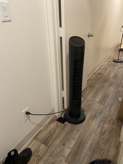 fan