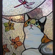 Cat Gatos