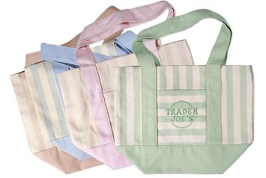 Trader Joe’s Striped Canvas Mini Tote