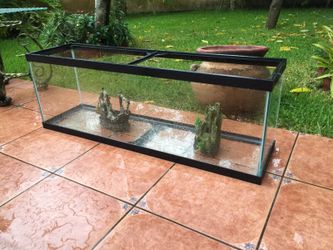 Fish tank and accessories