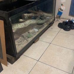 Big Tank For Reptile Or Fishes