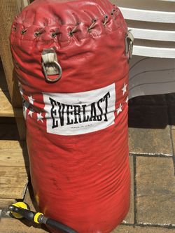 Everlast Boxing Bag
