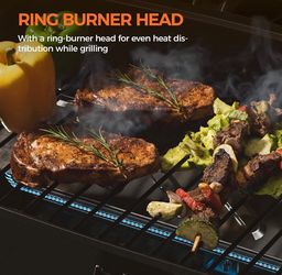 Portable BBQ grill new in the box