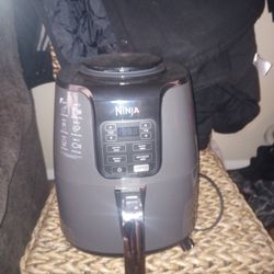 ninja air fryer 