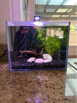 Aquatop Venti 2-Gallon-rimless