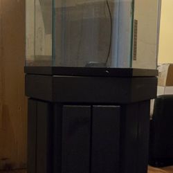 28 Gallon Hex Aquarium 