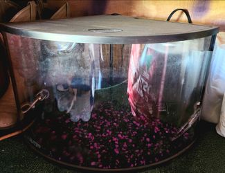 Top Fin Corner Aquarium Tank