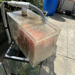 Salt Water Fish Tanks and Filters