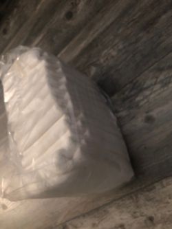 Adult diapers