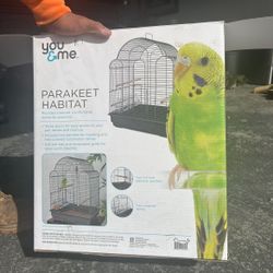 Parakeet Habitat 