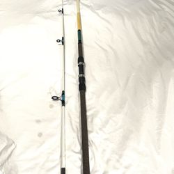 Great Condition Hardly Used Sea Striker BS9WCT 9 foot medium action, fishing rod