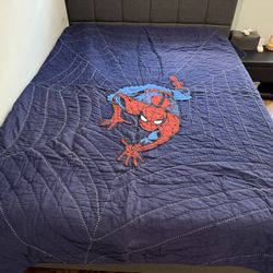 PB Kids Spider Man Quilt(Full/Queen)