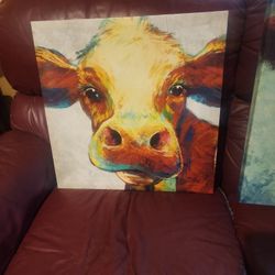 Cow Picture