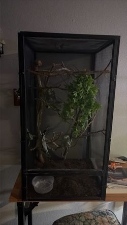 Black Mesh Reptile Enclosure with Decor 16x30