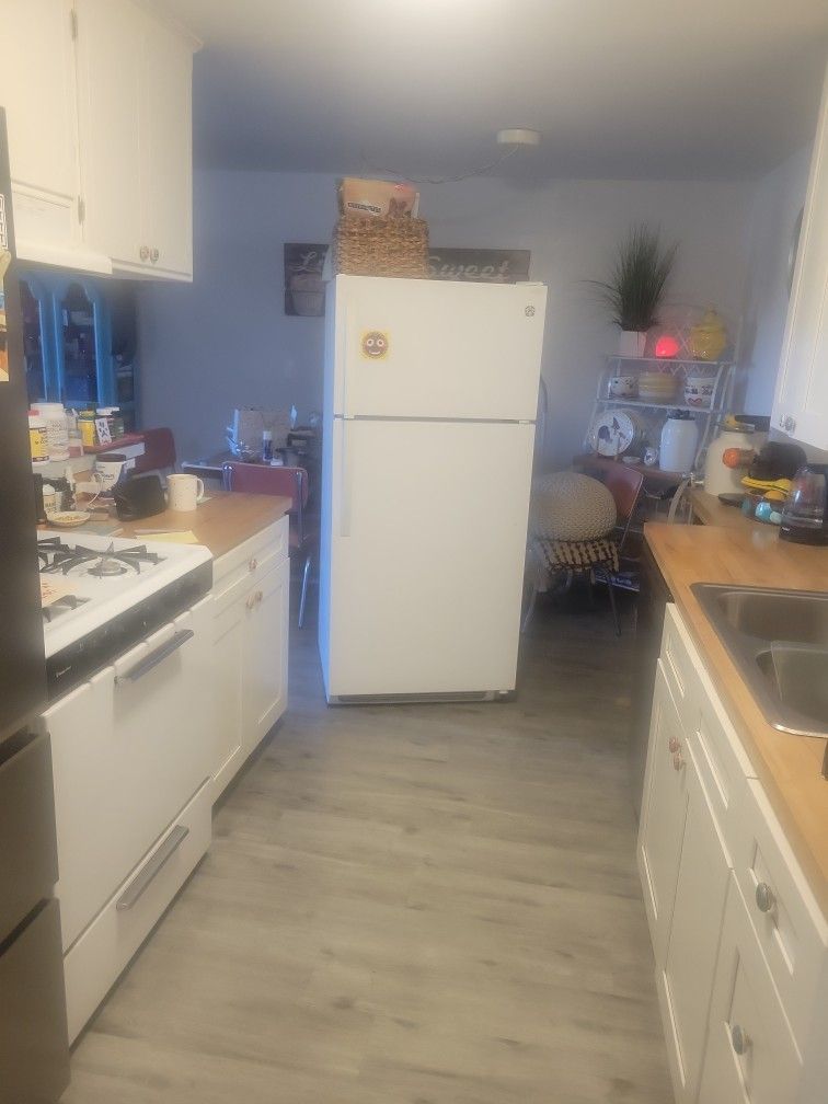 REFRIGERATOR WORKS GREAT