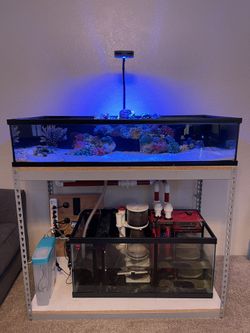 Complet Lowboy Frag Tank