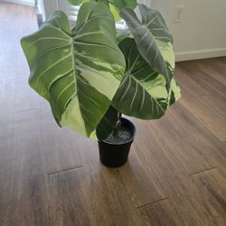Ikea articial indoor plant