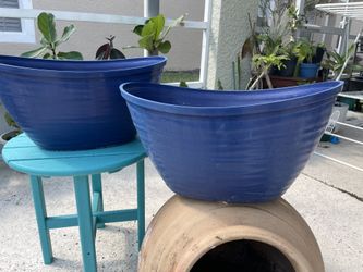 Beautiful Pair Of Entry Way Planter 