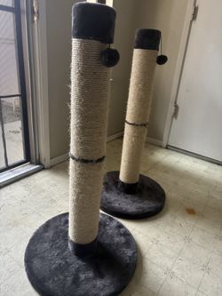 Cat Scratching Post