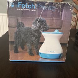 iFetch frenzy