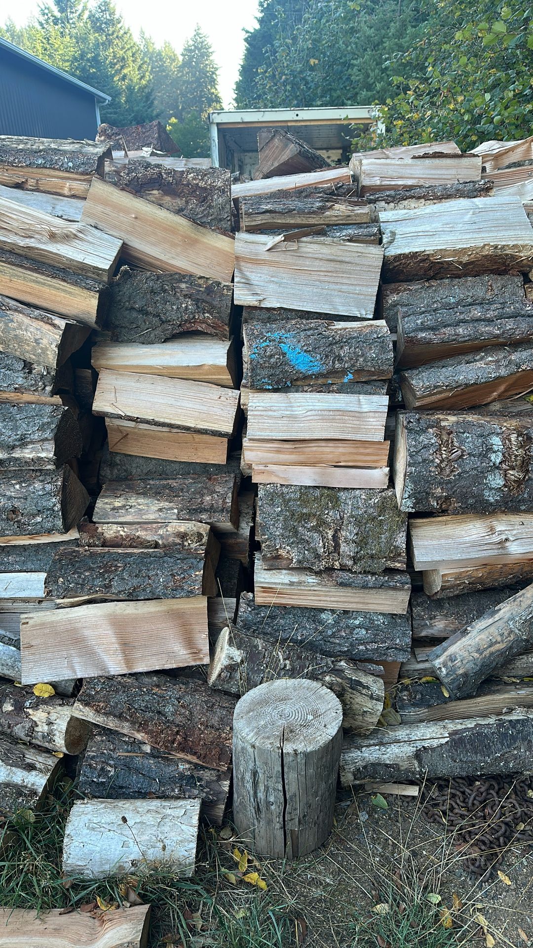 Approximately 7 Cord Dry Cured Firewood Dug For Cut At 16” You Haul .