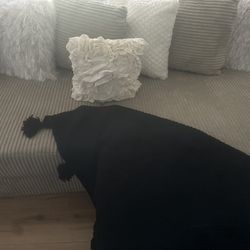 Two Piece Large Tan/beige suede couch!!