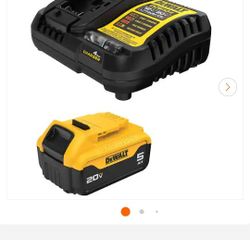 20V MAX Lithium-Ion 5.0 Ah Battery and Charger. the battery n charger