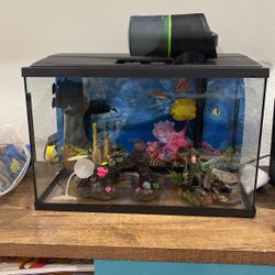 Fish Tank 5 Gallon 