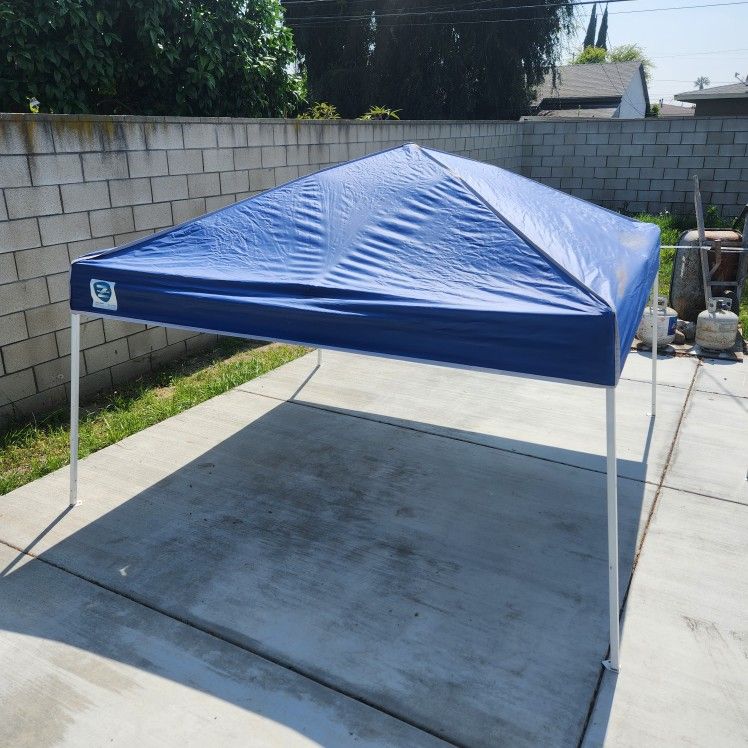 8 X 8 Ezup Canopy Shade Tent